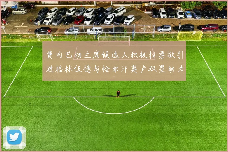 费内巴切主席候选人积极拉票欲引进格林伍德与恰尔汗奥卢双星助力球队